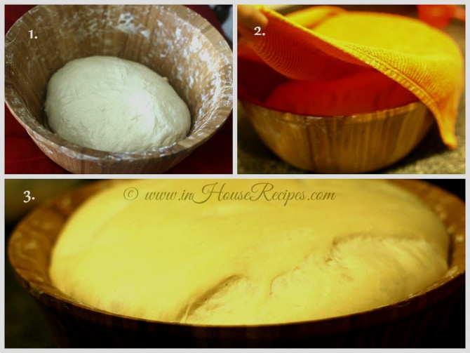 Fermented bhatura dough