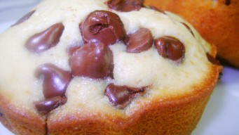 Chocolate Chip Muffins