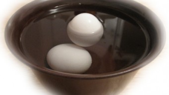 fresh and old egg in water